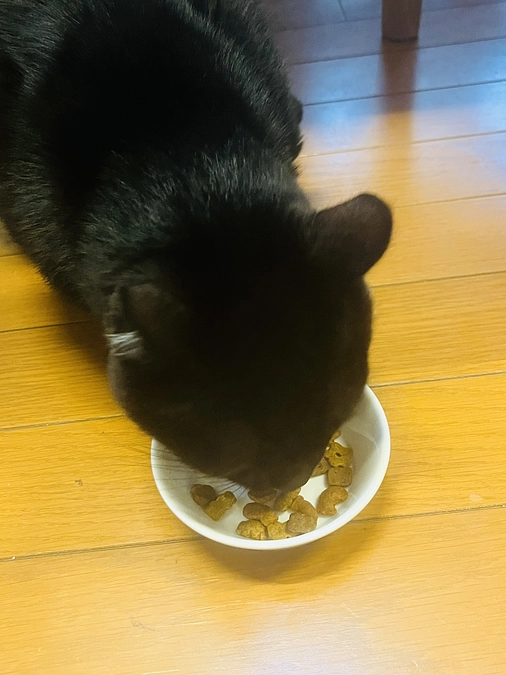 お薬頑張ってのみます。