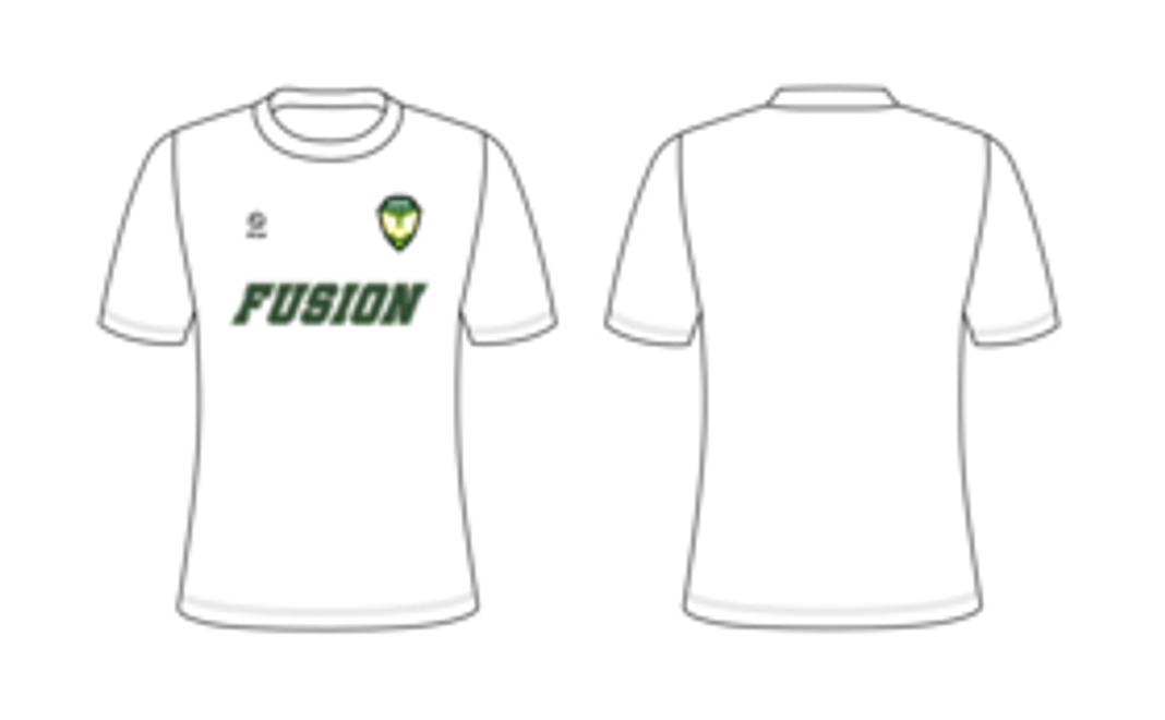 FUSION Tシャツ+限定ステッカー