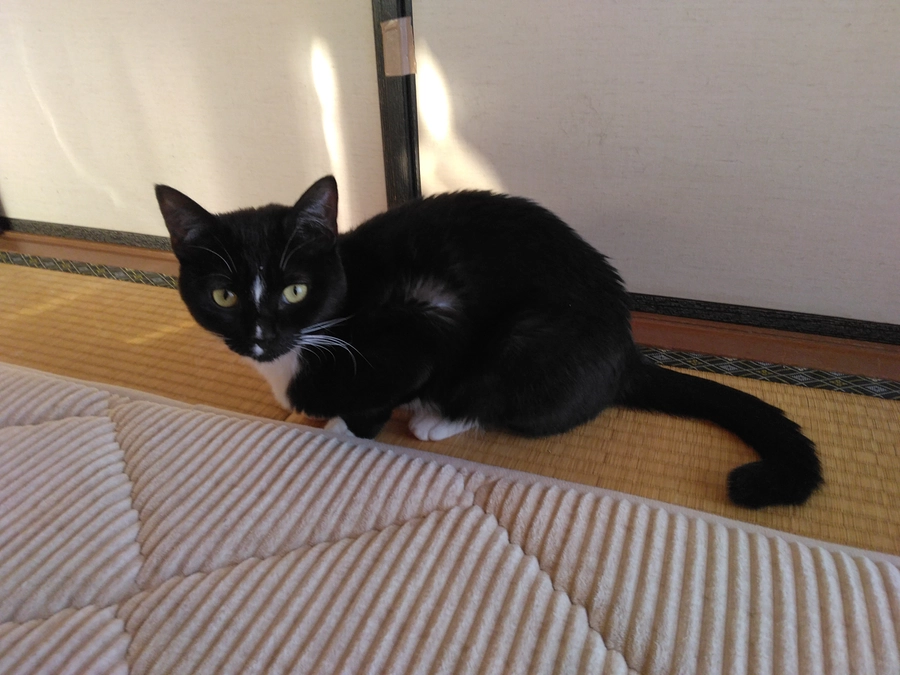 2/10はなちゃんの様子