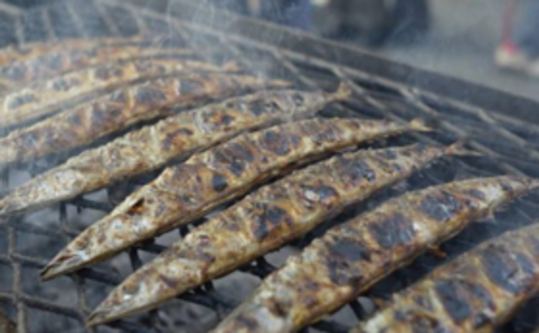 サンクスメール+さんま優待券