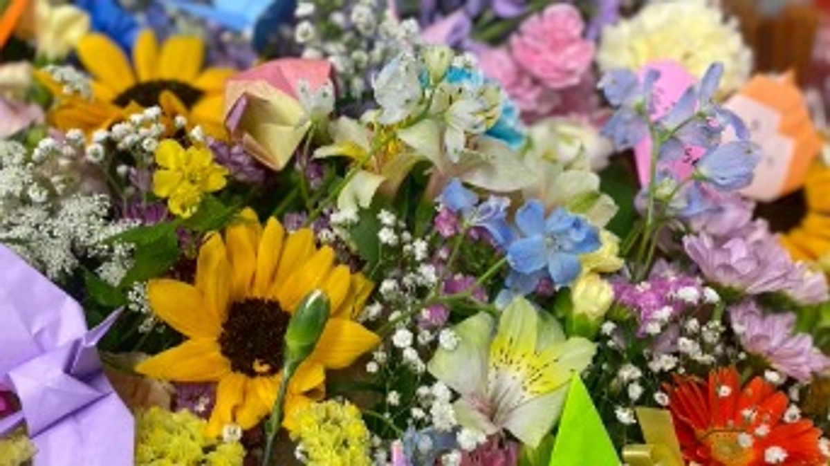 4月の活動報告～施設外譲渡会・しっぽ村卒業生と虹の橋組のご報告～