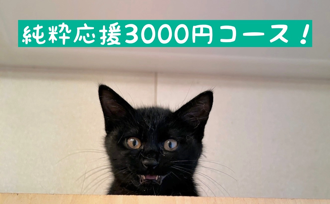純粋応援3000円コース！