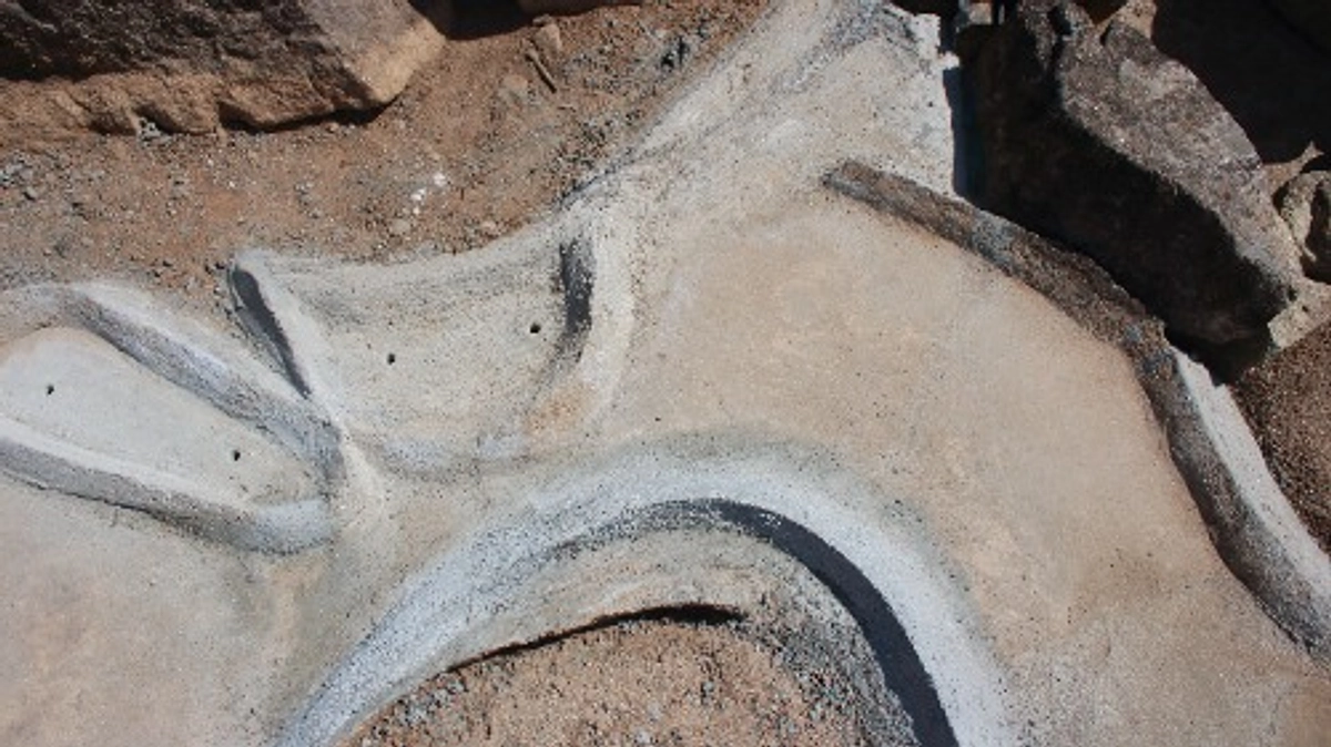 築山ライン、再び命を吹き込む