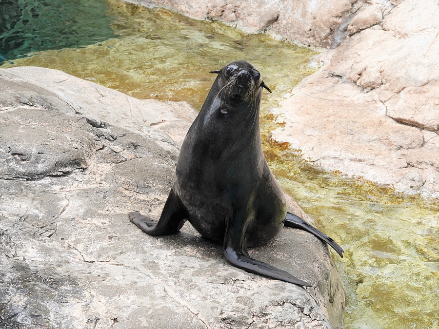 いよいよスタートしました！