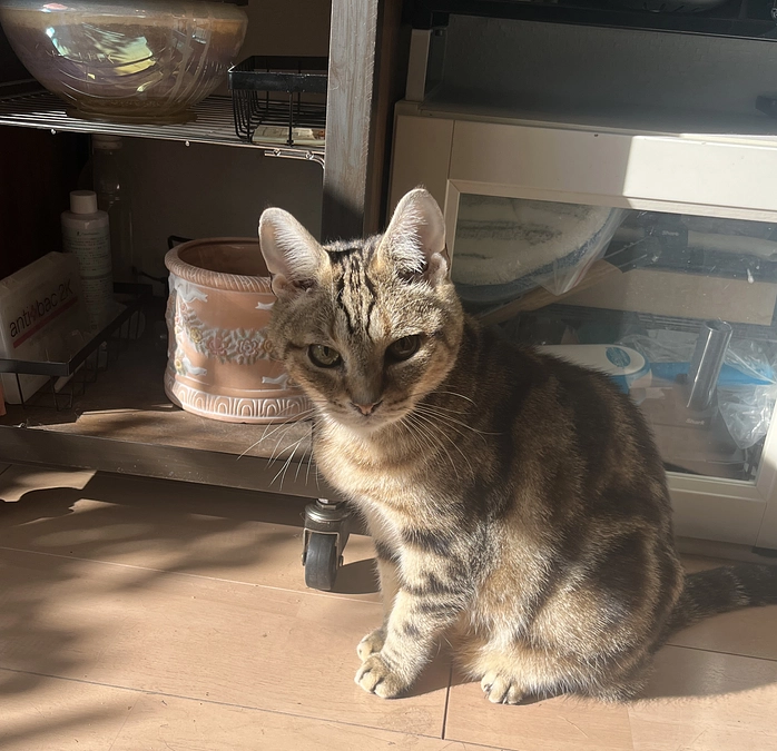 まだぼう～っとしてるね