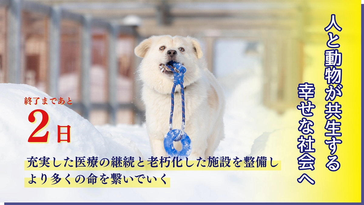 【残り2日】ラストスパート！情報拡散のご協力をお願いします	