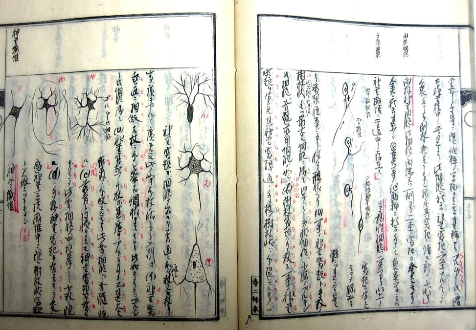 ご支援が1,000万円を突破しました！歴史ある館として貴重書スペースの充実へ！