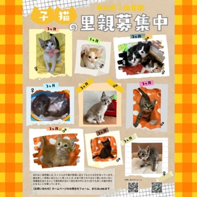 明日はランチ譲渡会🍽