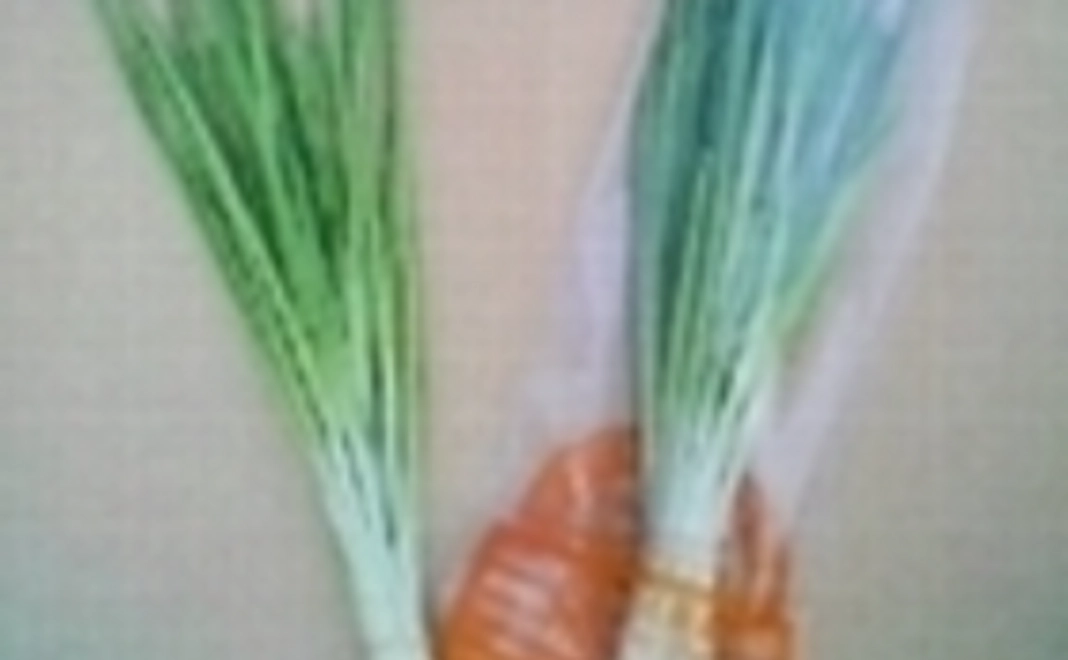 7500円支援でにんにく新芽1ケース20袋入り3750 円