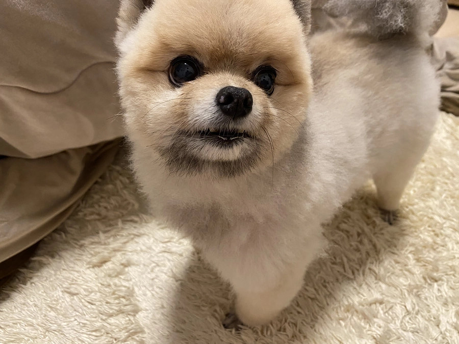 利尿剤の量をまた調整しました。