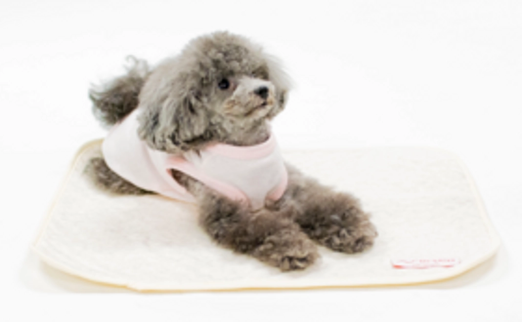 遠赤外線アルファフレッシュ マット SサイズまたはMサイズ×1枚