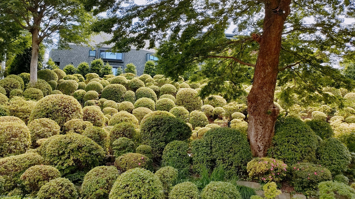 本日返礼品を発送いたしました