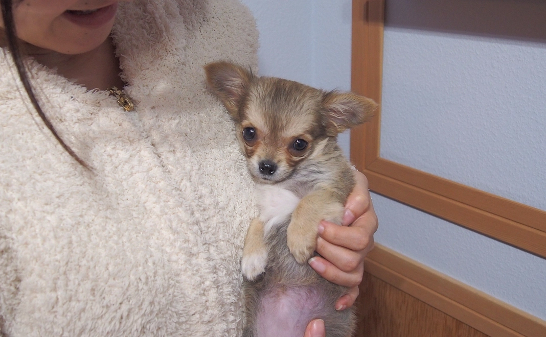 感謝のメールをお送りします。 1000円