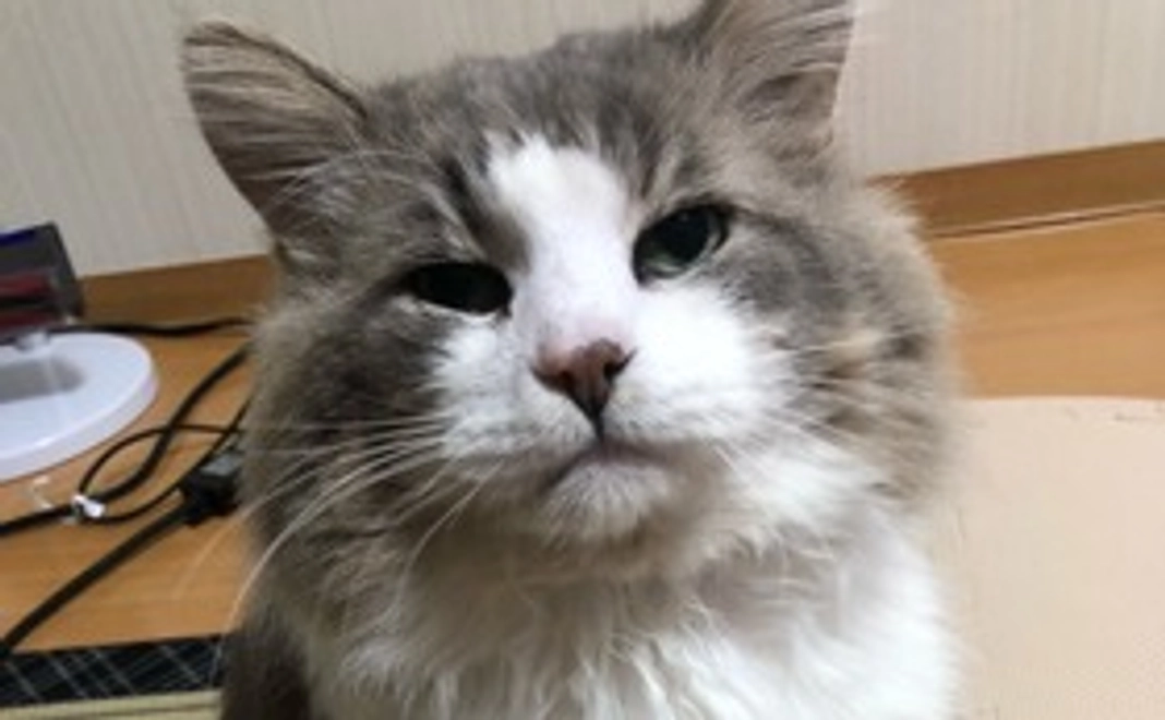 2_【じゃん全力応援】お礼のメールと笑顔になれる写真