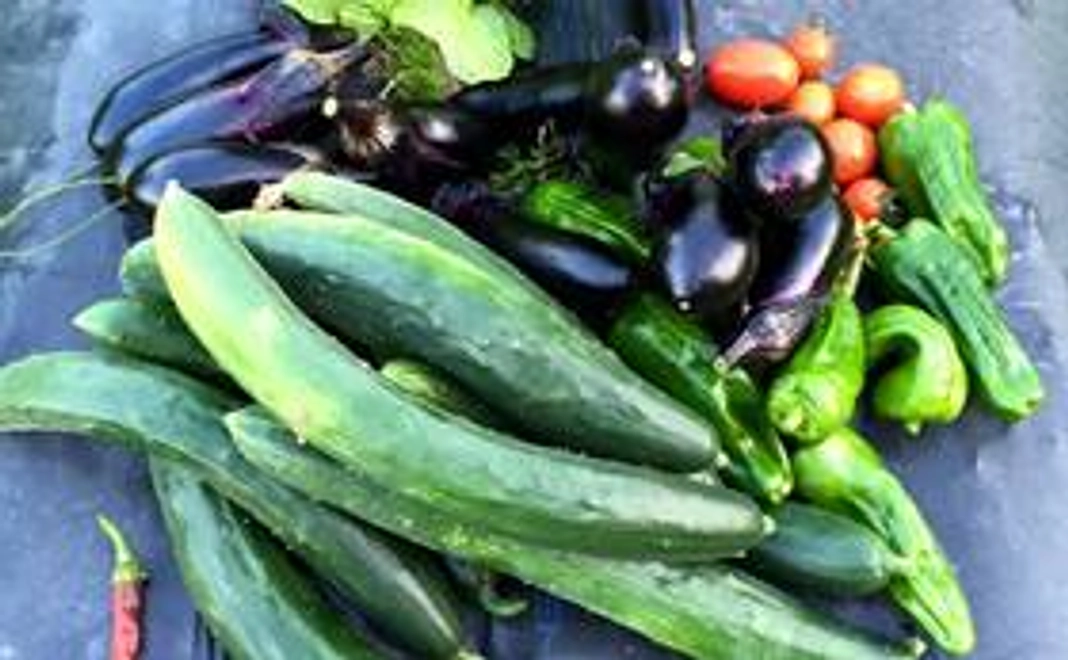 五十嵐さん家のサクランボと、２回のお野菜定期便