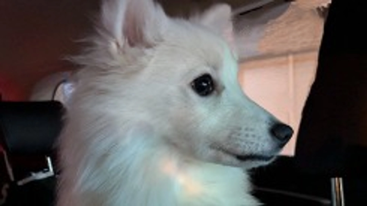 術前検診して来ました！