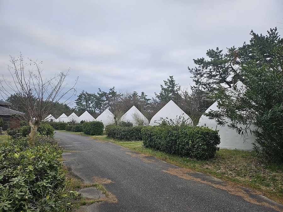 プロジェクト終了のご報告とインスタントハウス