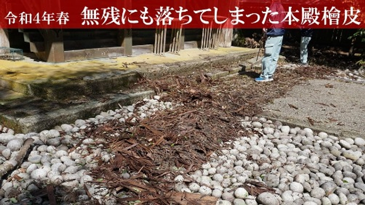 10/7クラウドファンディングでの募集を開始しました！