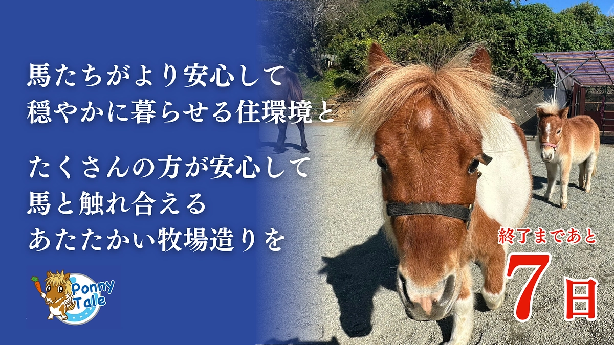 【残り7日】あと一週間でこのプロジェクトも終了です