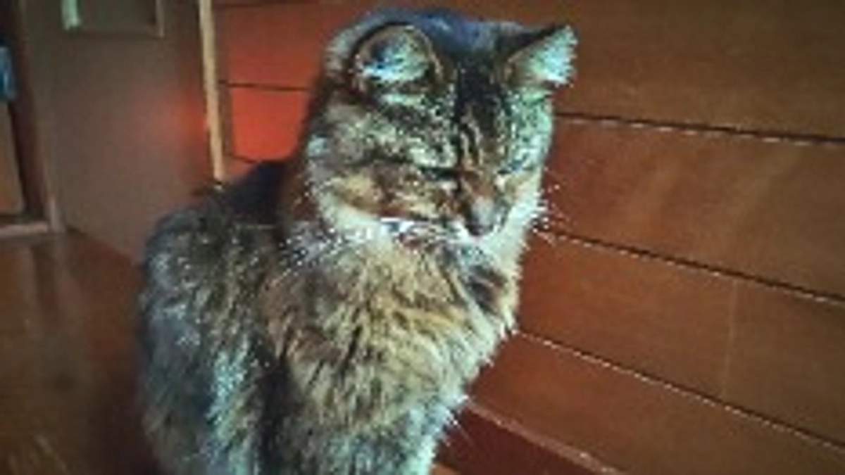 昨日からのエリ。