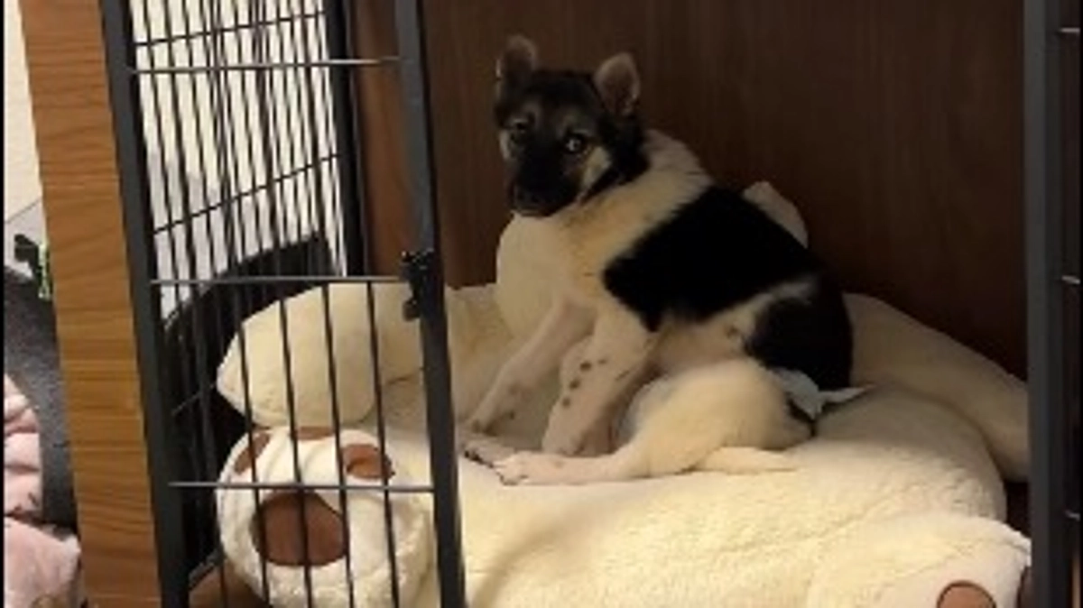 達成まであと45%！