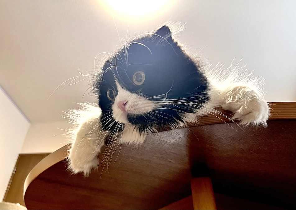 残り８日。今日は涼しい！