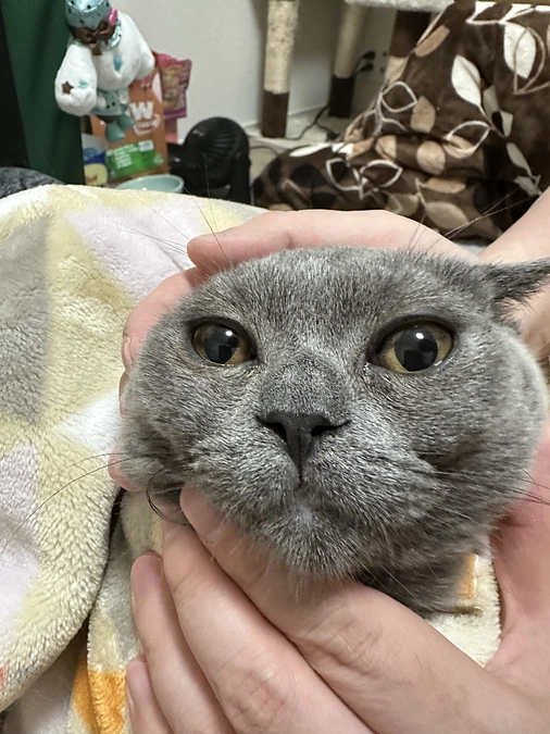 9月14日の経過報告