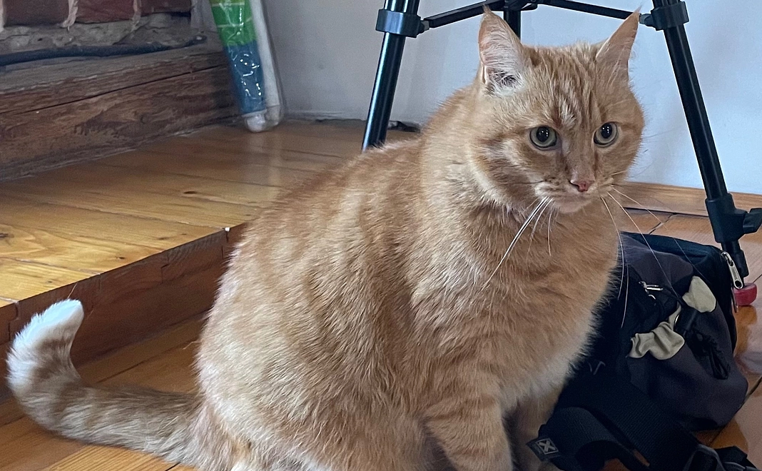 1万円｜応援コース