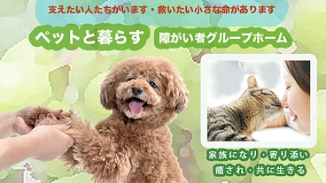 福祉事業の開業 のトップ画像