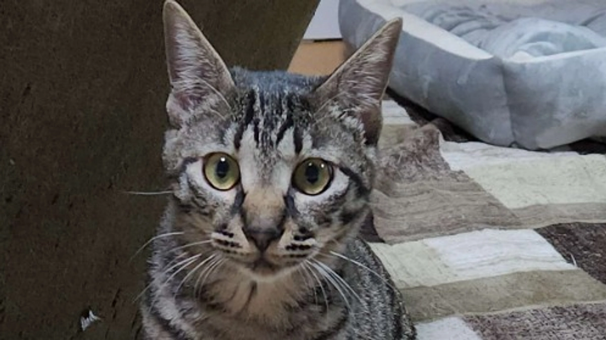 【84日間の投薬を終えて…】