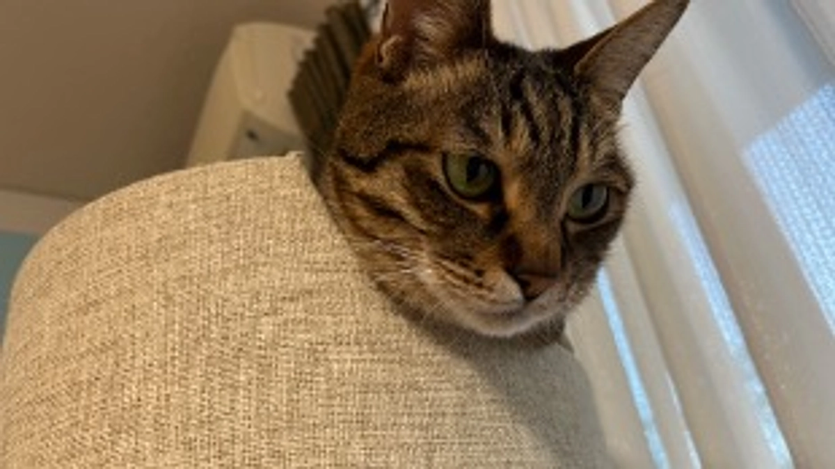 【通院記録】1月28日