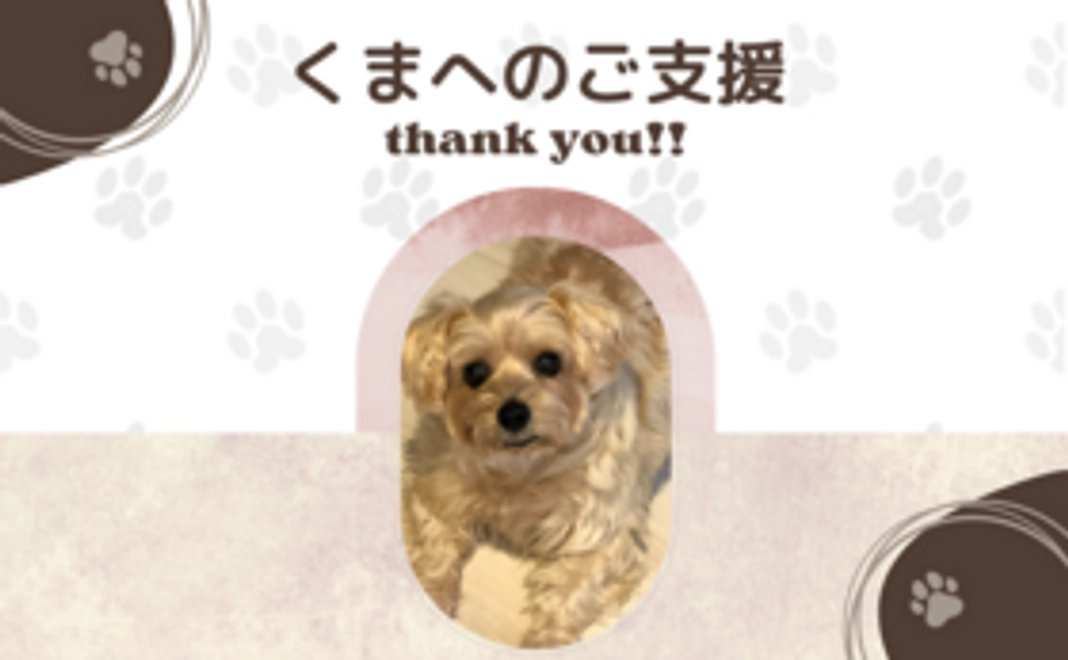 くまへのご支援②