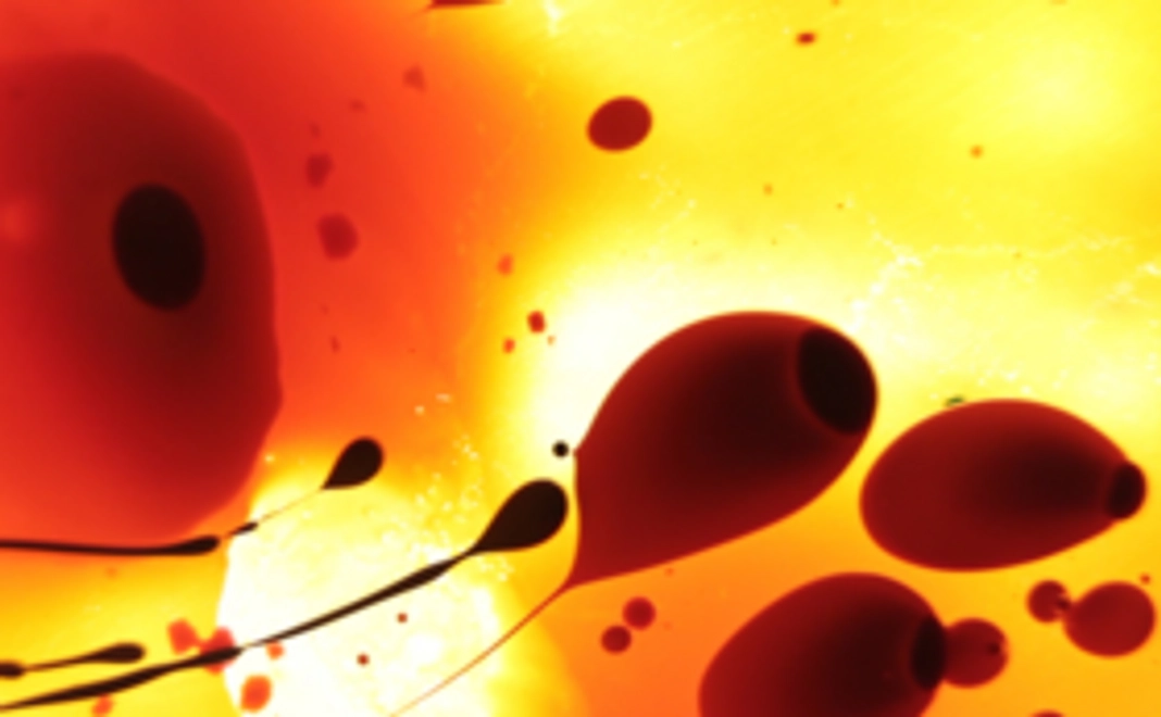 支援者限定！作品をオンラインで鑑賞