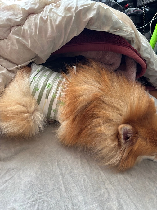 25/01/19報告です。