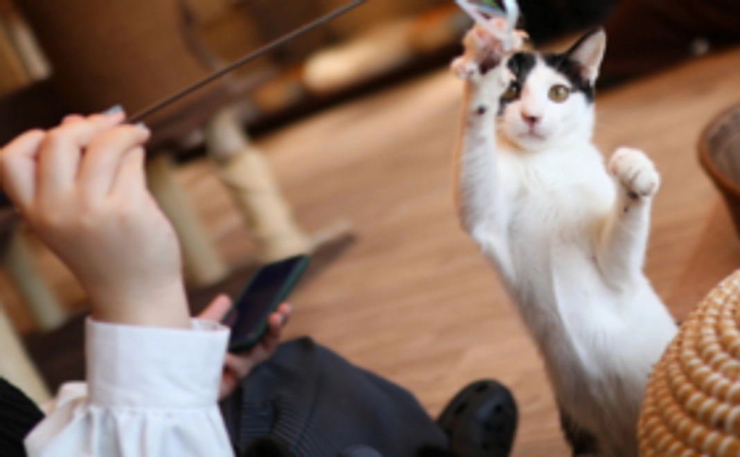 お気持ち支援｜3000円