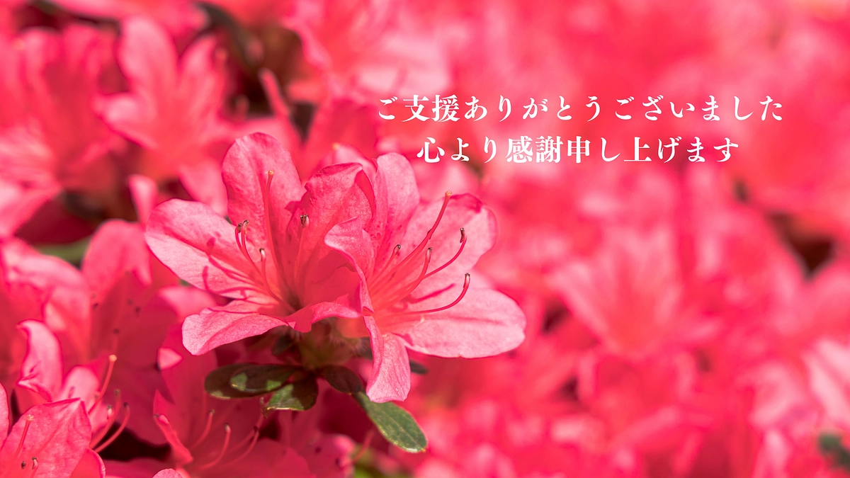 クラウドファンディング第二弾 終了のご報告と御礼