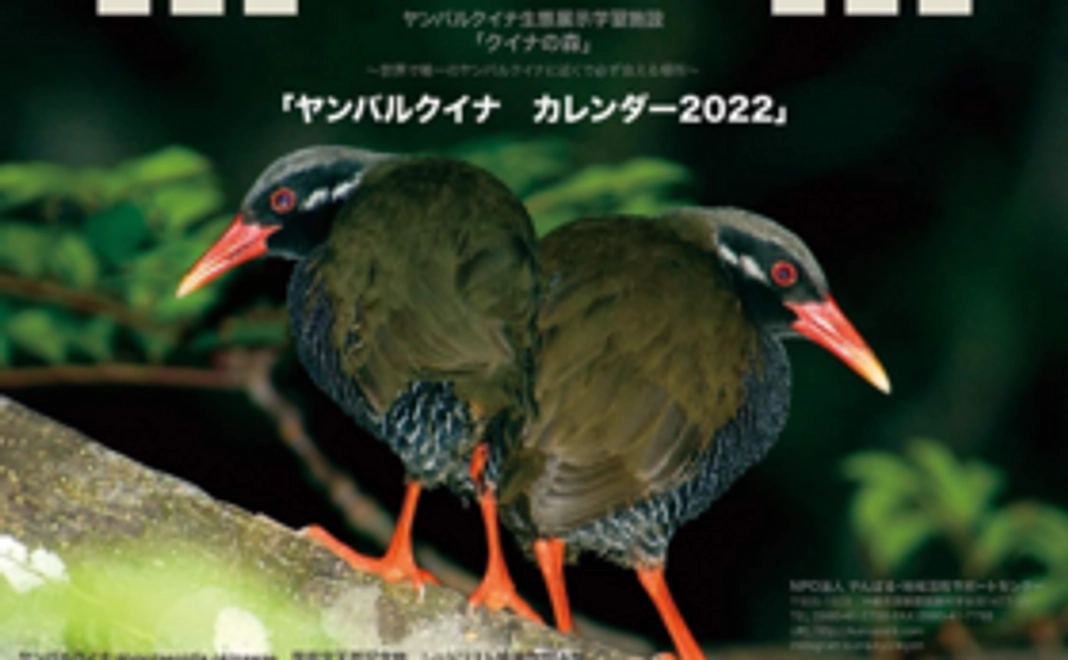 【9/18 NEW】オリジナルカレンダーコース：1万円