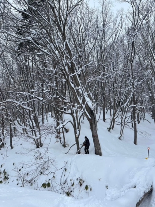 北海道メープルのホームページのご案内