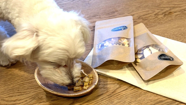 フルーツ王国山形のフルーツを活用した愛犬向けのおやつを開発したい