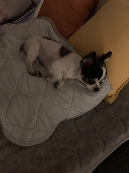 咳込み多い夜・・・😣