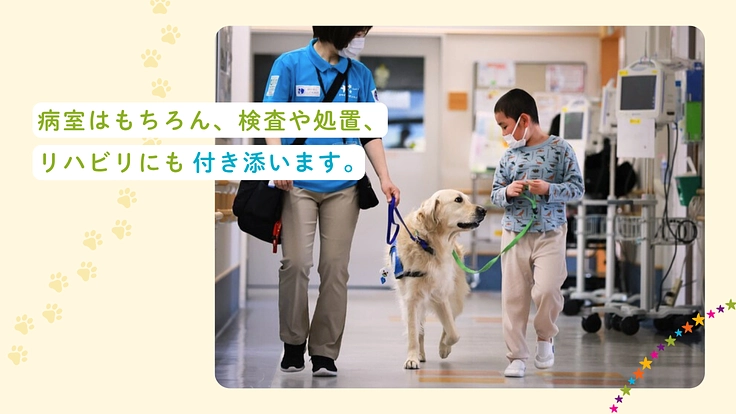 入院する子どもたちを笑顔に!ファシリティドッグ育成基金2025 3枚目