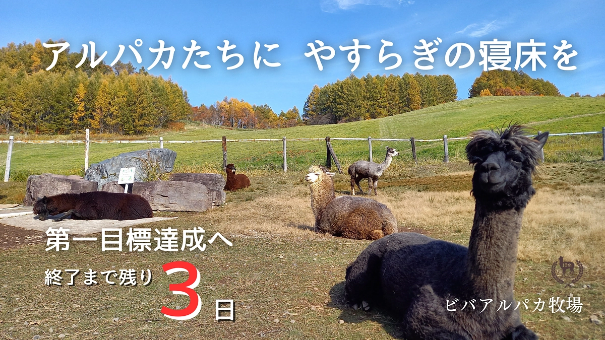 あと3日！応援メッセージのご紹介③