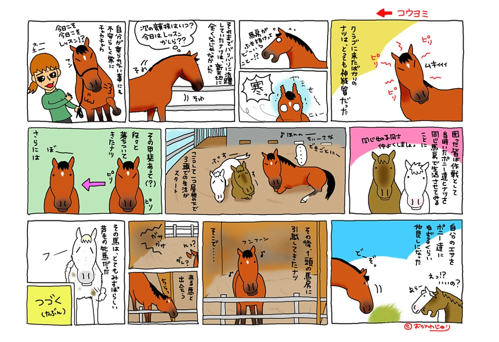 ナツとブランカ①　競技馬を引退した「ナツ」