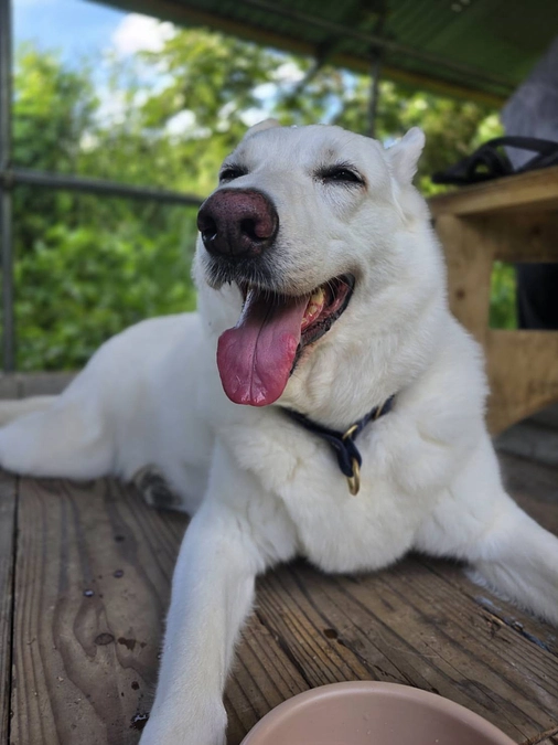 ツヨクタクマシク