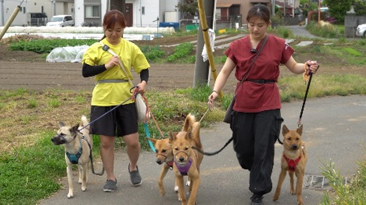 【いただいた応援メッセージをご紹介します〜③〜】