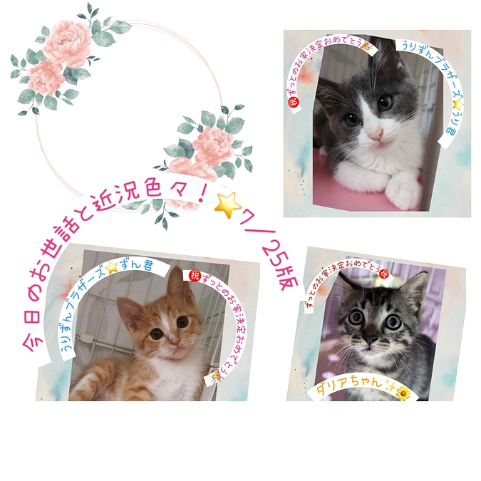 今日のお世話と近況色々！⭐️7／25版