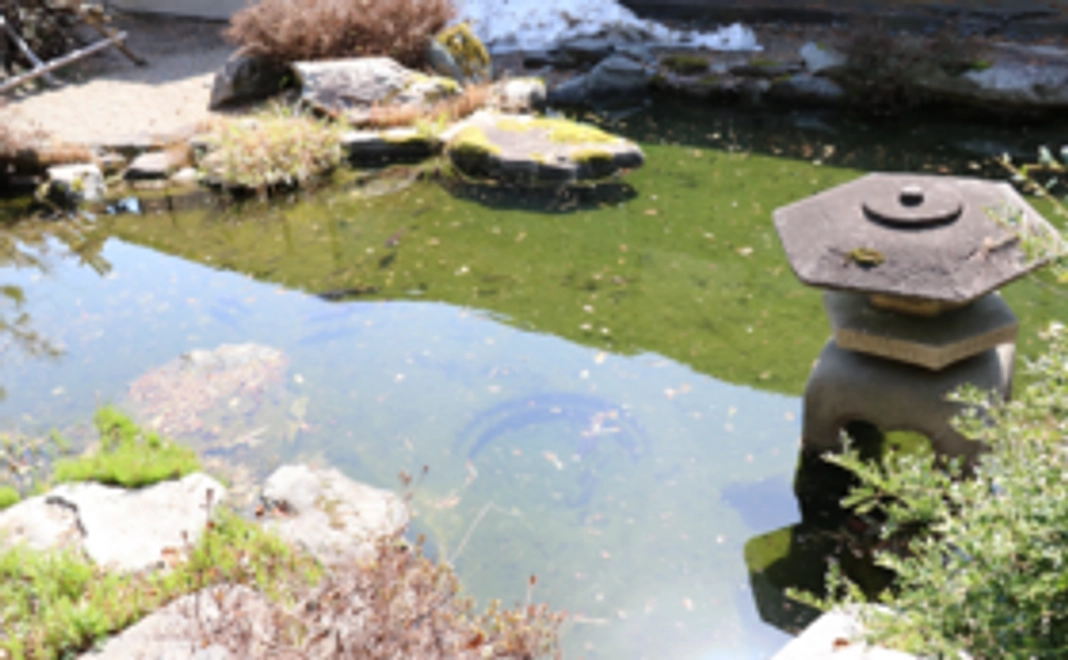 感謝の気持ちを込めて