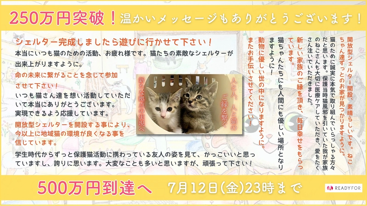 ５０％たどり着けました＼(^-^)／