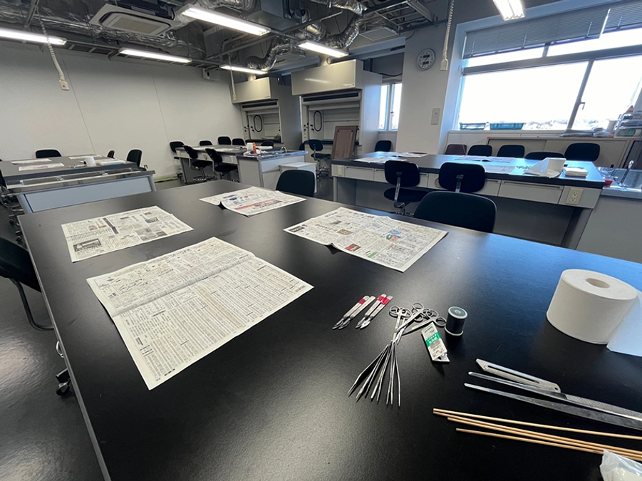 【返礼イベント実施レポート】哺乳類剥製づくり