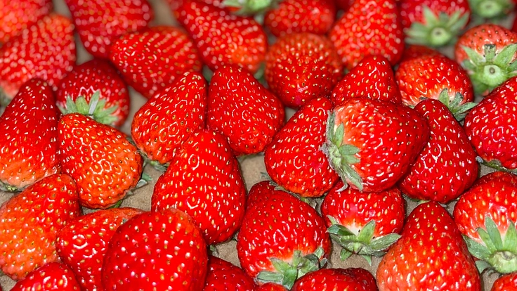 農業経営を改善し、過疎地の町を発展させたい